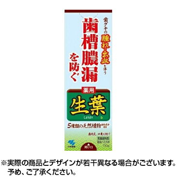 【クーポン配布中】【送料無料】小林製薬 生葉(しょうよう) 100g オーラルケア 口臭予防 口臭対策 口臭ケア