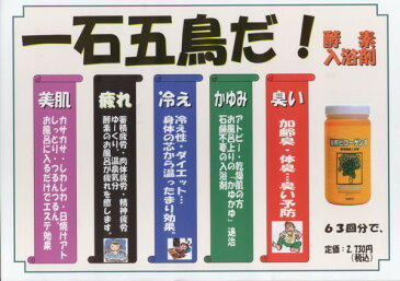 【送料無料】 自宅で酵素風呂! まとめ買い10本セット 浴用ビコーゲン BN パパイン酵素 薬用 酵素 入浴剤 ビコーゲン 1000g