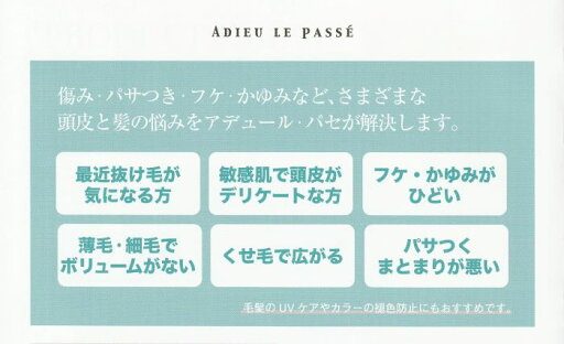 花王 ブローネ 泡カラー 6 ダークブラウン※パッケージに若干の傷みあり (1個まで定形外郵便可 送料450円)