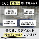 angelingg:10000999のサンプル画像2