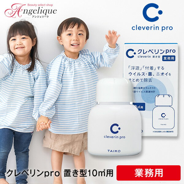 【あす楽】大幸薬品 クレベリンpro 置き型 10m2用 60g（業務用）| クレベリン 置き型 60g