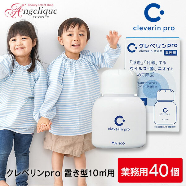 大幸薬品 クレベリンpro 置き型 10m2用 60g×40個セット（業務用）| クレベリン 置き型