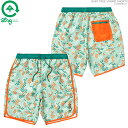 LRG ショートパンツ エルアールジー ハーフパンツ BABY TREE HYBRID SHORTS ストリート/