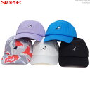 セール / STAPLE キャップ ステイプル ストラップバック 帽子 PIGEON DAD CAP あす楽/