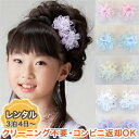【レンタル衣装との同梱専用】ワイルドフラワーミニバレッタ(2個セット) fy16REN07