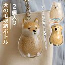 \6%OFFクーポン/ 透明 ペット 遺毛入れ ケース 2個入り 犬の毛収納ボトル 遺毛 ペット ペットメモリアルボトル 犬のキーホルダー 毛を保管するボトル ...