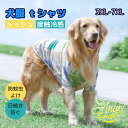 大型犬 接触冷感 メッシュ タンク 抜け毛対策 タンクトップ 犬の服 フルオブビガー 犬 夏服 クール ひんやり 接触冷感 涼しい 防虫 着脱簡単 伸縮性 日差...