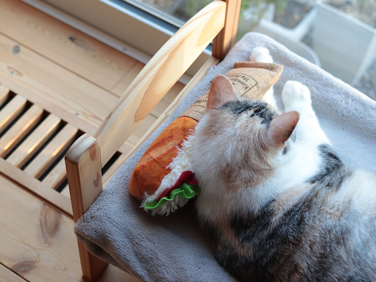 猫とわたしの愛用する 、インテリアに馴染む「bon moment cat