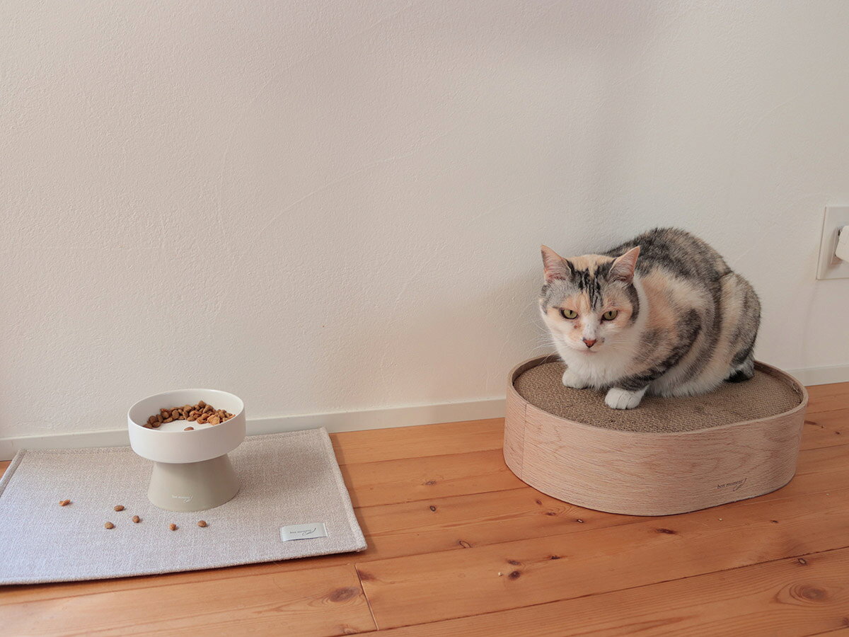 猫とわたしの愛用する 、インテリアに馴染む「bon moment cat