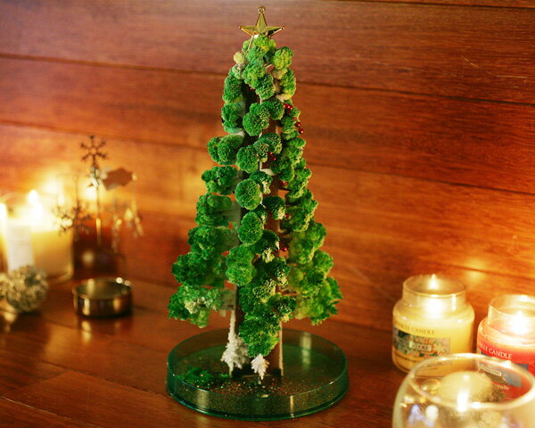 マジックツリー/ミニツリー/X'mas/X'masツリー　マジックツリー/ミニツリー/MAGIC CHRISTMAS TR...