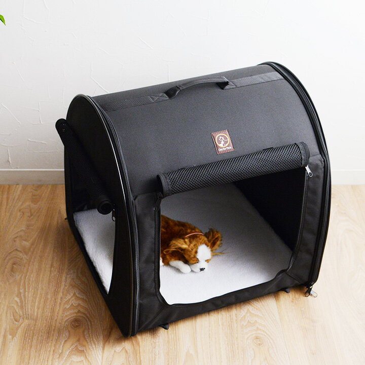 �ݡ����֥롦�����������󥰥������̵����