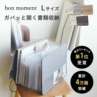 【シリーズ累計35,000個突破】書類 収納 ファイル 書類ケース ファイル収納 ドキュ...