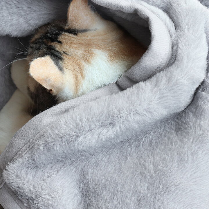 まるごと猫毛布 ブランケット ひざ掛け/ブランケット 北欧 ひざかけ ブランケット 膝掛け 70cm×100cm 毛布 2枚合わせ 洗える 暖かい もはや 猫 毛布 モフモフ 伝説の毛布/bon moment ボンモマン angers-10066156 アンジェ(インテリア雑貨) サンプル画像2