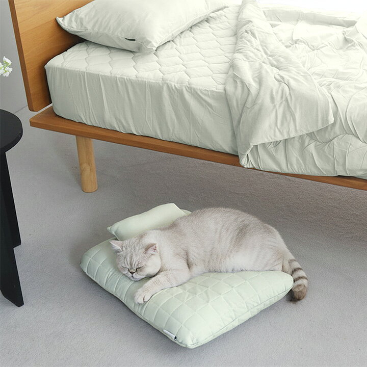 ひんやりドライコットン ドライコットン さらさら ペットベッド まくら付き／ペットベッド 夏用 ペットベッド 洗える ペットベッド 猫用 ペットベット 夏用 ペット用品 猫 ペット用品 犬／bon moment cat ボンモマンキャット 3