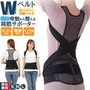 GW限定クーポン配布中 骨盤からととのえる メッシュの 背筋サポーター | 骨盤サポーター サポーター 背筋 骨盤補整 ベルト 骨盤 肩甲骨 姿勢補正 姿勢 正...