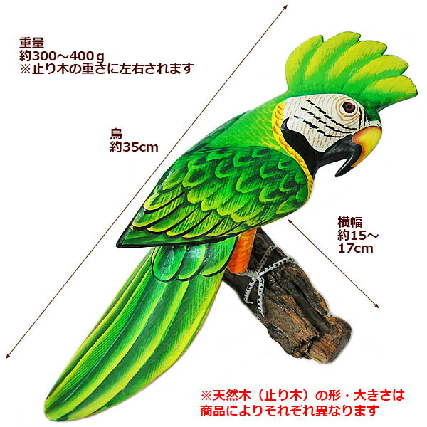 カラフル バード 壁掛け 天然木の止り木 [鳥 35cm] おしゃれな 可愛い チキチキハウス インテリア 鳥の置物 オブジェ 鳥の飾り アジアン バリ タイ 雑貨 [2]