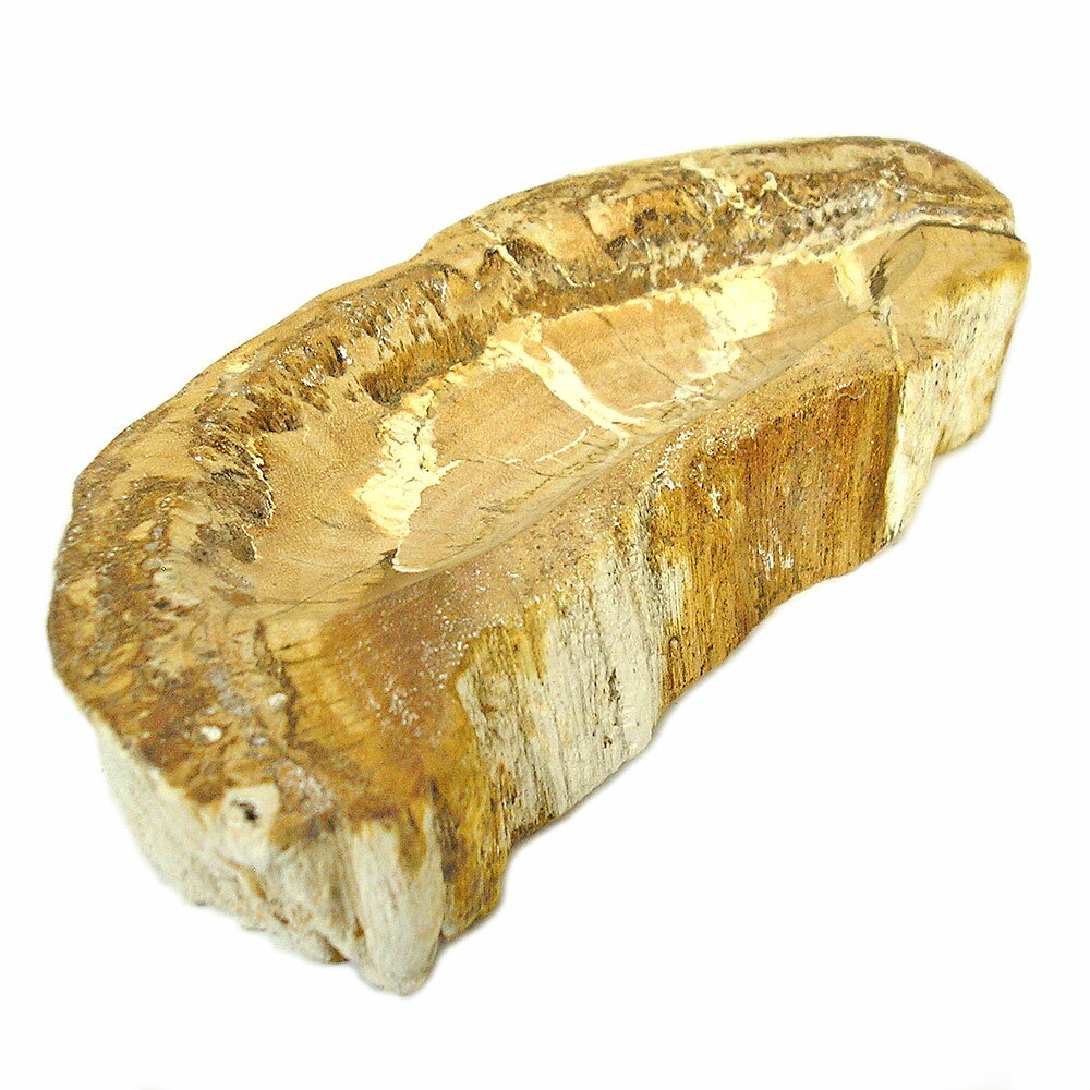 商品説明 長い年月を経て形成された木の化石シリーズ、ワイルドな雰囲気の灰皿になります。 サイドは木の原型を残した樹木の肌触りで、灰皿部分は深さ約1.5〜2.5cmに滑らかに彫られ研磨された石の感触です灰皿としてもインテリアオブジェとしても注...