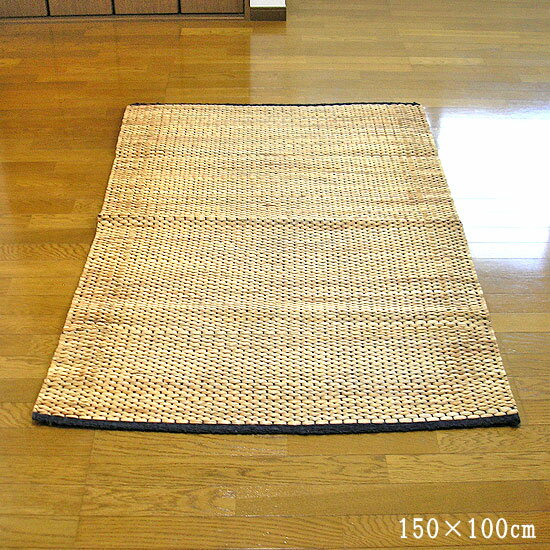 ҥ䥷󥹤Υ饰ޥå150cmx100cm   Х     ƥꥢ