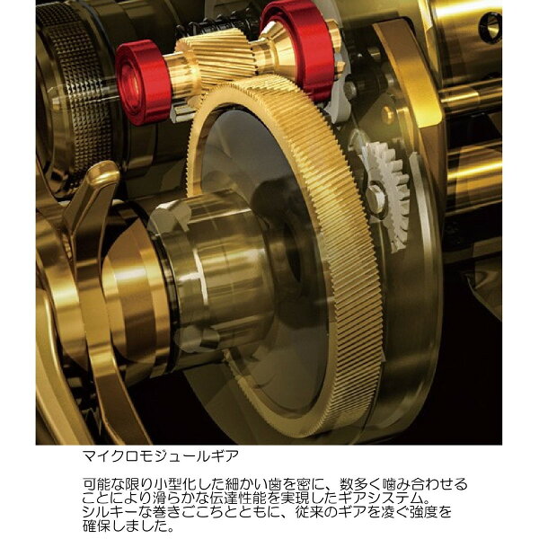 【エントリー&楽天カードご利用でポイント18倍】【送料無料4】シマノ18オシアコンクエストCT300HG(右)【7/14(土)20:00〜7/21(土)1:59楽天お買い物マラソン】