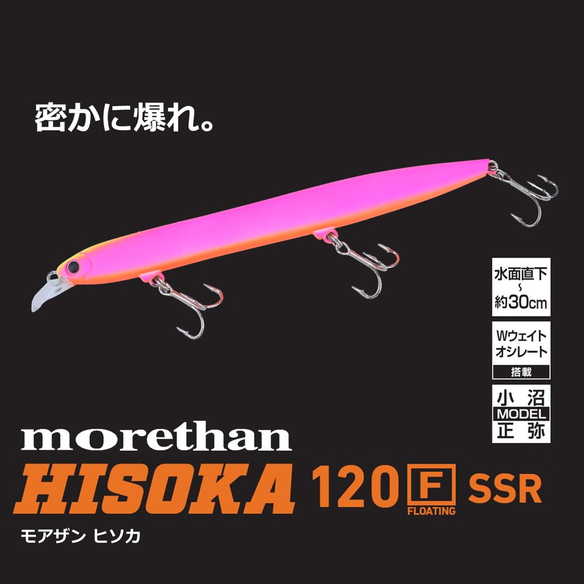 モアザン ヒソカ120F-SSR ダイワ ヒソカ 120F-SSR アデルチャートバックブラックベリー [メール便 の商品画像2枚目