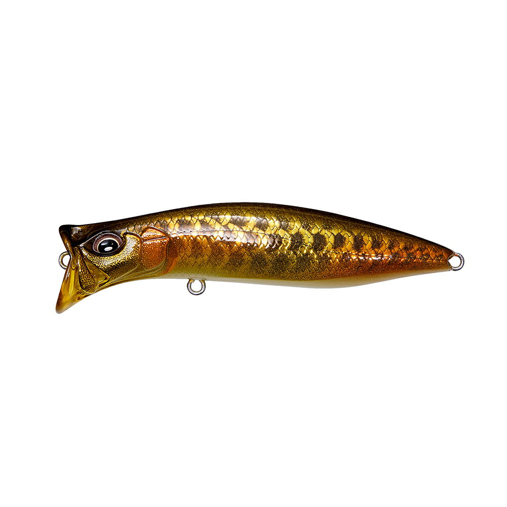 Rakuten - 【2024大阪受注会限定】メガバス KIRINJI (キリンジ) 90 DRAGON FISH G [メール便]