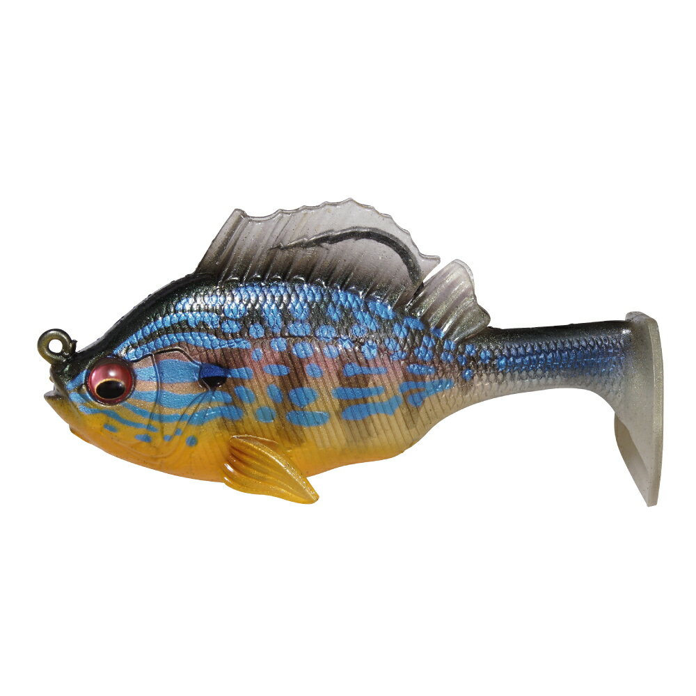 ᥬХ SLEEPER GILL (꡼ѡ) 3.2