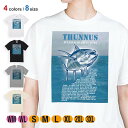釣り Tシャツ 半袖 マグロの種類は5種類 5.6oz (オンス) 綿100% メンズ レディース 洗濯 大きいサイズ ホワイト ブラック グレー アイボリー ...