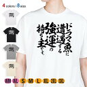 釣り Tシャツ 半袖 釣りざんまい ドラマ魚遭遇 5.6oz (オンス) 綿100% メンズ レディース 洗濯 大きいサイズ ホワイト ブラック グレー アイボ...