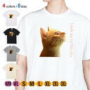 猫 Tシャツ 半袖 天を仰ぐ猫 5.6oz (オンス) 綿100% メンズ レディース 洗濯 大きいサイズ ホワイト ブラック グレー アイボリー 白 黒 灰色 肌色 春 夏 秋 冬 オシャレ かわいい ネコ ねこ 雑貨