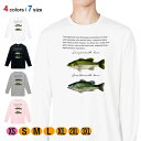 釣り Tシャツ 長袖 オオクチバス(ラージマウスバス)とコクチバス(スモールマウスバス) 5.6oz (オンス) 綿100% メンズ レディース 洗濯 大きいサ...