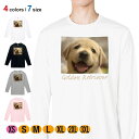 動物 Tシャツ 長袖 ゴールデンレトリバーの子犬 5.6oz (オンス) 綿100% メンズ レディース 洗濯 大きいサイズ ホワイト ブラック グレー ピンク 白 黒 灰色 桃色 ロンティー 春 夏 秋 冬 オシャレ イヌ 雑貨 かわいい