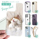 スマホケース iPhone Google Pixel Xperia Galaxy AQUOS arrows 着せ替え シート インナーシート スマホカバー 背面 透明 クリア オリジナル デザイン 猫 ネコ 昼寝する猫(ネコ)