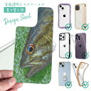スマホケース iPhone Google Pixel Xperia Galaxy AQUOS arrows 着せ替え シート インナーシート スマホカバー 背面 透明 クリア オリジナル デザイン 釣り 魚 ルアー スモールマウスバス(2)