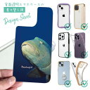 スマホケース iPhone Google Pixel Xperia Galaxy AQUOS arrows 着せ替え シート インナーシート スマホカバー 背面 透明 クリア オリジナル デザイン 釣り 魚 ルアー 水中 ナポレオンフィッシュ
