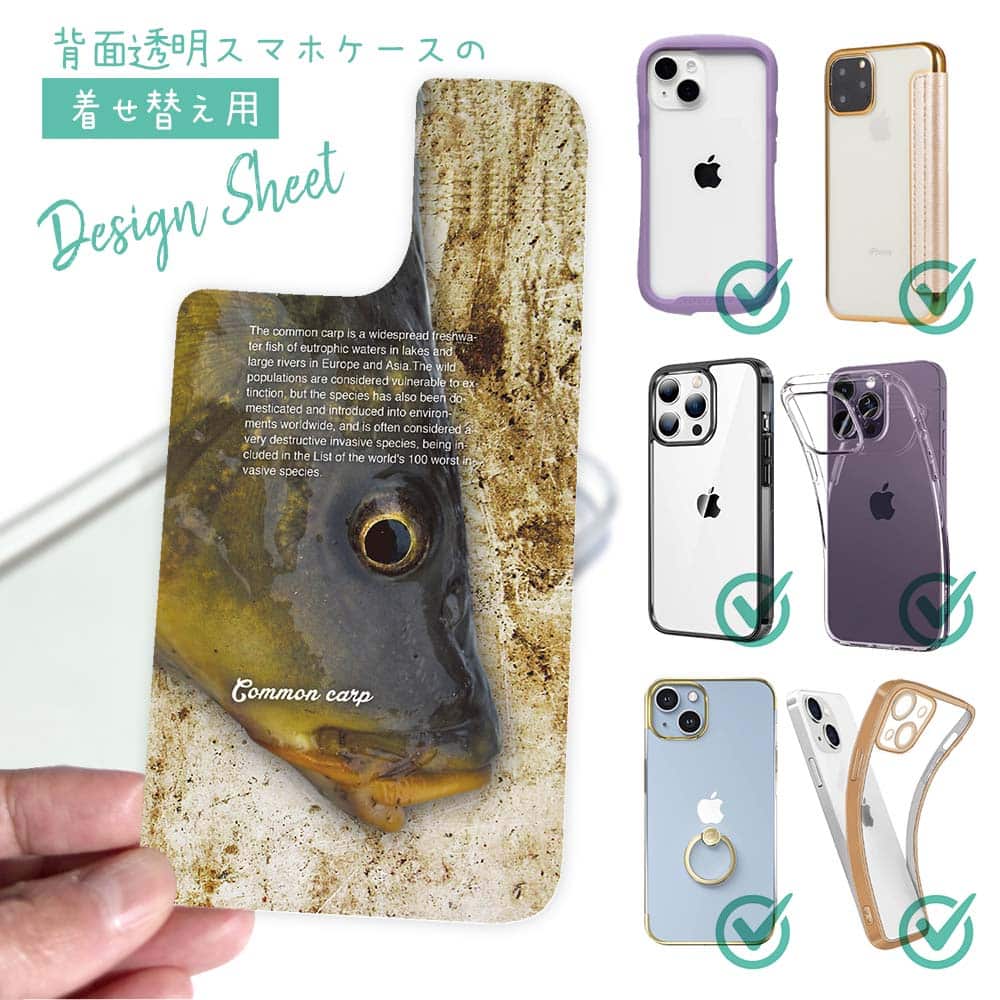 スマホケース 着せ替え シート インナーシート スマホカバー 背面 透明 クリア オリジナル デザイン 釣り 魚 ルアー コイ(カープ)