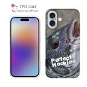 ソフトケース iPhone16 Pro Max 16 Plus クリアケース iPhone15 Pro Max iPhone14 Plus iPhone13 mini Xperia 10 VI Galaxy AQUOS sense arrows Pixel9a Pro 釣り 魚 ルアー セット TPU 透明 完璧なフッキング