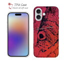 ソフトケース iPhone16 Pro Max 16 Plus クリアケース iPhone15 Pro Max iPhone14 Plus iPhone13 mini Xperia 10 VI Galaxy AQUOS sense arrows Pixel9a Pro 釣り 魚 ルアー セット クリア アカムツ 鉄錆