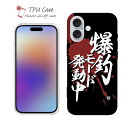 ソフトケース iPhone16 Pro Max 16 Plus クリアケース iPhone15 Pro Max iPhone14 Plus iPhone13 mini Xperia 10 VI Galaxy AQUOS sense arrows Pixel9a Pro 釣り 魚 ルアー セット クリア 爆釣モード発動中 釣りざんまい