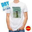 釣り Tシャツ アウトドア チンアナゴ 釣り 魚 ルアー T シャツ メンズ 半袖 ロゴ 文字 春 夏 秋 インナー 安い 面白い 大きいサイズ 洗濯 ポリエス...