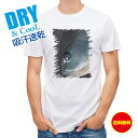 釣り Tシャツ アウトドア ブルーアイ メジナ(グレ) 釣り 魚 ルアー T シャツ メンズ 半袖 ロゴ 文字 春 夏 秋 インナー 安い 面白い 大きいサイズ...