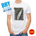 釣り Tシャツ アウトドア ルアーにヒットしたスズキ 釣り 魚 ルアー T シャツ メンズ 半袖 ロゴ 文字 春 夏 秋 インナー 安い 面白い 大きいサイズ ...