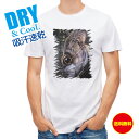 釣り Tシャツ アウトドア メバル 釣り 魚 ルアー T シャツ メンズ 半袖 ロゴ 文字 春 夏 秋 インナー 安い 面白い 大きいサイズ 洗濯 ポリエステル...