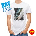 釣り Tシャツ アウトドア ブリ 釣り 魚 ルアー T シャツ メンズ 半袖 ロゴ 文字 春 夏 秋 インナー 安い 面白い 大きいサイズ 洗濯 ポリエステル ...