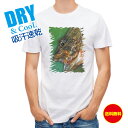 釣り Tシャツ アウトドア カサゴ 釣り 魚 ルアー T シャツ メンズ 半袖 ロゴ 文字 春 夏 秋 インナー 安い 面白い 大きいサイズ 洗濯 ポリエステル...