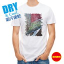 釣り Tシャツ アウトドア レッドサーモン 釣り 魚 ルアー T シャツ メンズ 半袖 ロゴ 文字 春 夏 秋 インナー 安い 面白い 大きいサイズ 洗濯 ポリ...
