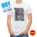 釣り Tシャツ アウトドア クロダイ(チヌ)の目 釣り 魚 ルアー T シャツ メンズ 半袖 ロゴ 文字 春 夏 秋 インナー 安い 面白い 大きいサイズ 洗濯...