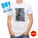 釣り Tシャツ アウトドア 鎧武者スズキ(シーバス) 釣り 魚 ルアー T シャツ メンズ 半袖 ロゴ 文字 春 夏 秋 インナー 安い 面白い 大きいサイズ ...