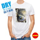 釣り Tシャツ アウトドア ヘラブナ 釣り 魚 ルアー T シャツ メンズ 半袖 ロゴ 文字 春 夏 秋 インナー 安い 面白い 大きいサイズ 洗濯 ポリエステ...