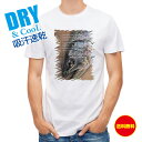 釣り Tシャツ アウトドア アマゴ 釣り 魚 ルアー T シャツ メンズ 半袖 ロゴ 文字 春 夏 秋 インナー 安い 面白い 大きいサイズ 洗濯 ポリエステル...