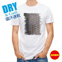釣り Tシャツ アウトドア クロダイ鱗 釣り 魚 ルアー T シャツ メンズ 半袖 ロゴ 文字 春 夏 秋 インナー 安い 面白い 大きいサイズ 洗濯 ポリエス...